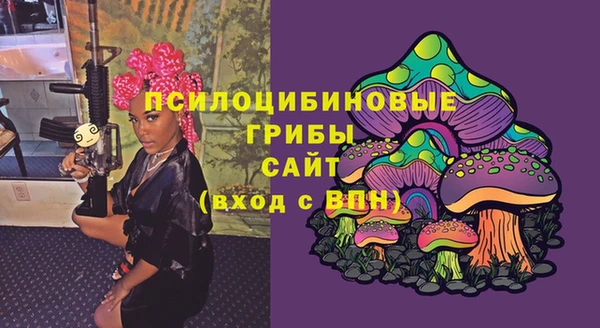 соль ск Вязники